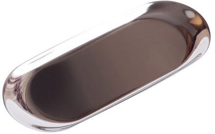 Roestvrij Staal Opslag Lade Goud Zilveren Ovale Fruitschaal Sieraden Display Metal Lade Opslag zilverachtig S