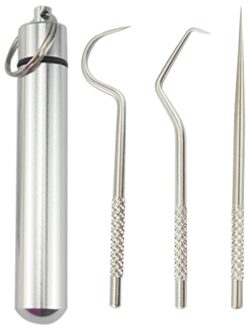Roestvrij Staal Tandenstoker Set Met Draagbare Tandenstoker Houder Storage Case Herbruikbare Waterdicht Vork Case Voor Reizen
