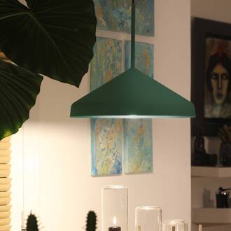 Rofe hanglamp, dennenhout groen