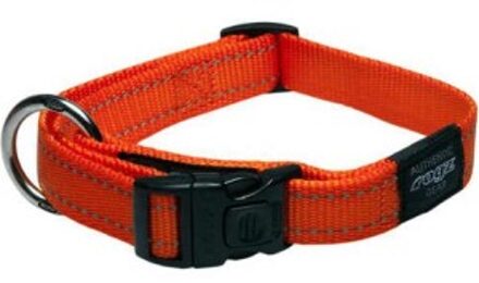 Rogz for dogz - Halsband - Oranje Small (20-31cm)