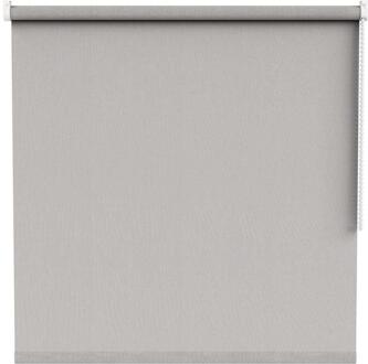Rolgordijn Montana Transparant - Licht (20002) - Polyester - Grijs - 10x10x120 Cm