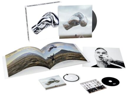 Roll With The Punches - Bryan Adams