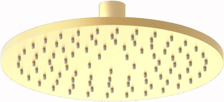 Roma hoofddouche rond Ø20 cm, geborsteld goud