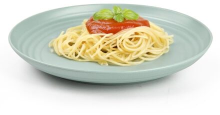 Rond bord/camping bord - D20 cm - groen - kunststof - onbreekbaar - servies Mintgroen