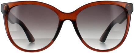 Rond Dames Transparant Bruin Grijs SB2312 - maat