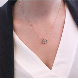 Ronde hangers - Oostenrijks kristal Wit en roségoud