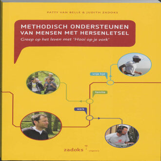 Ronde Tafel, Su De Methodisch ondersteunen van mensen met hersenletsel - Boek Patty van Belle (908167711X)