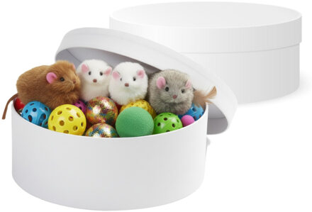 Ronde witte hobby knutsel doos - 2x - dozen van karton - 14.5 x 5.5 cm - Hoedendoos - cadeauverpakki