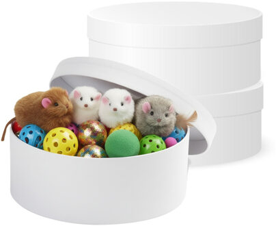 Ronde witte hobby knutsel doos - 3x - dozen van karton - 14.5 x 5.5 cm - Hoedendoos - cadeauverpakki
