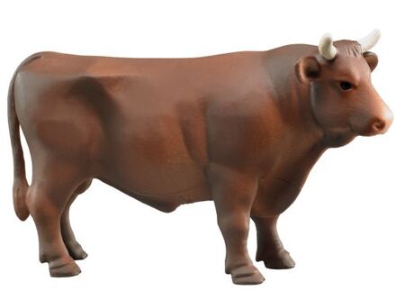 roodbruine Stier bruin