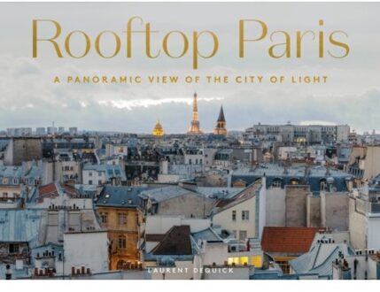 Rooftop Paris - Laurent Dequick