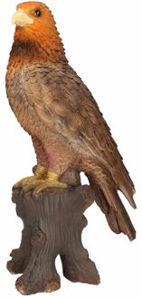 Roofvogel Adelaar beeldje - voor binnen/buiten - 16 x 20 x 40 cm - vogel tuinbeelden