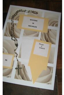 Rosae & Elsbeth Mysterie in Mechelen - Boek Niqy Laemersch (9462540098)