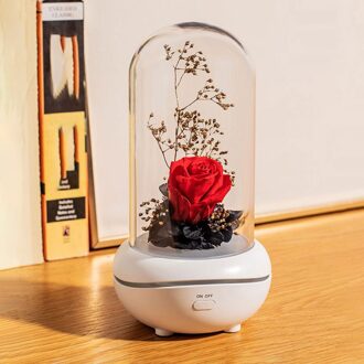 Rose Lamp Bewaard Rose In Glas Dome Romantische Led Lamp Roos Voor Vrouwen rood