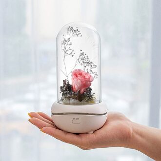 Rose Lamp Bewaard Rose In Glas Dome Romantische Led Lamp Roos Voor Vrouwen roze
