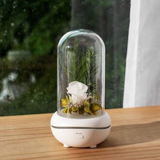 Rose Lamp Bewaard Rose In Glas Dome Romantische Led Lamp Roos Voor Vrouwen wit