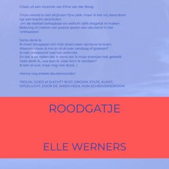 Rote Signale - ELLE WERNERS