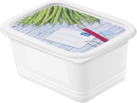 Rotho diepvriesdozen Domino 750 ml met herschrijfbare deksel - set van 4