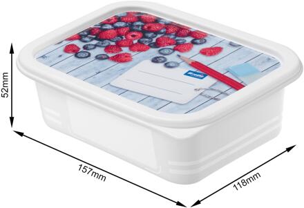 Rotho Diepvriesdozenset 4-delig 0,5L wit