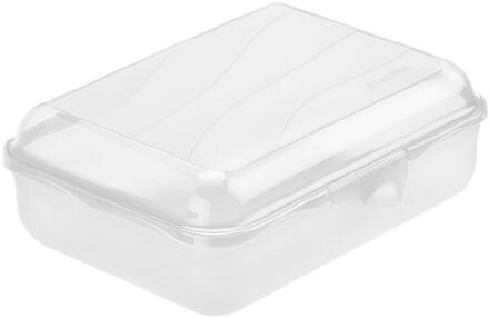 Rotho Lunchbox Fun 1,25L transparant