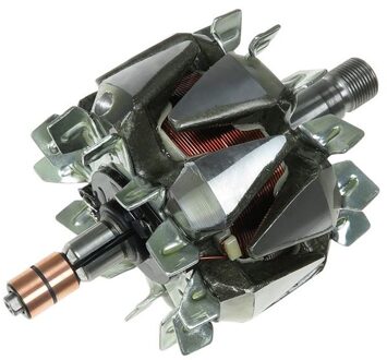 Rotor, generator AR1002