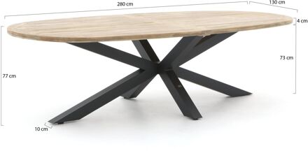 ROUGH-Y Ellips dining tuintafel 280x130cm - Laagste prijsgarantie! Grijs