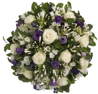 Rouwbiedermeier wit - paars