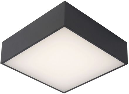 ROXANE - Plafonnière Badkamer - LED - 1x12W 2700K - IP54 - Antraciet