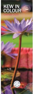 Royal Botanic Gardens Kew In Colour Slim Calendar 2025 - Calendars, Carousel