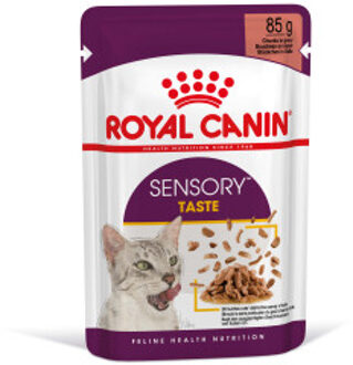 Royal Canin 12 x 85 g  Sensory Taste in Saus  Royal Canin