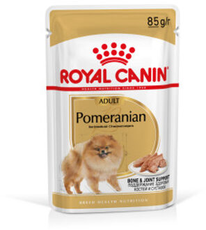 Royal Canin Adult Pomeranian natvoer hond (paté) 2 dozen (24 x 85 g)