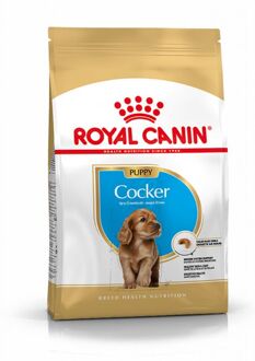 Royal Canin Breed Cocker Junior - Hondenvoer - 3 kg