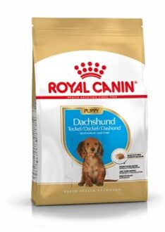Royal Canin Breed Dachshund Puppy - Hondenvoer - 1.5 kg