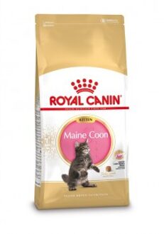 Royal Canin Breed Maine Coon Kitten - Kattenvoer - 2 kg