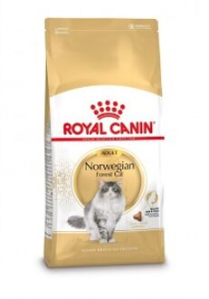 Royal Canin Breed Norwegian Forest Cat Adult - Kattenvoer - 10 kg