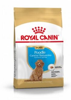 Royal Canin Breed Poodle Puppy - Hondenvoer - 3 kg