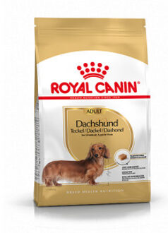 Royal Canin Breed Royal Canin Adult Dachshund (Teckel) hondenvoer Natvoer (12x85g)