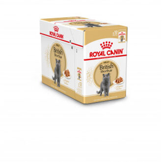 Royal Canin British Shorthair Adult natvoer kat (in saus) 2 dozen (24 x 85 g)
