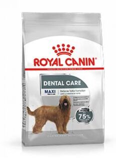 Royal Canin Ccn Dental Care Maxi - Hondenvoer - 9 kg