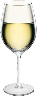 Royal Leerdam 6x Luxe wijnglazen voor witte wijn 320 ml Esprit met maataanduiding Transparant