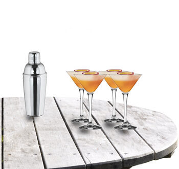 Royal Leerdam Cocktailshaker set met 4x stuks Martini cocktailglazen 250 ml