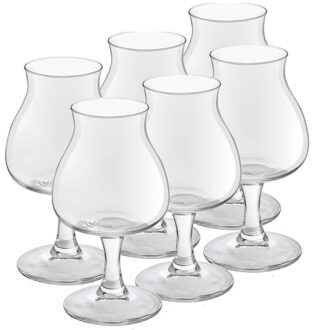 Royal Leerdam Speciaal Bierglazen Lund - 6x stuks - 260 ml - Hoog glas op voet Transparant