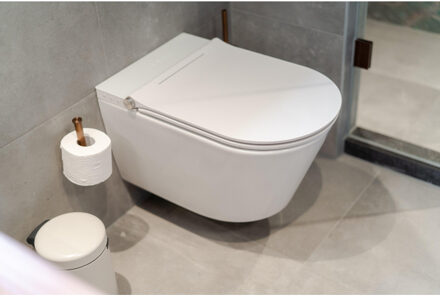 Royal Plaza Brioso douche wc rimless met softclose zitting, föhn, ladydouche en geurafzuiging, wit