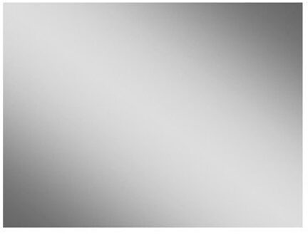 Royal Plaza Freya spiegel rechthoekig 100x 80 cm