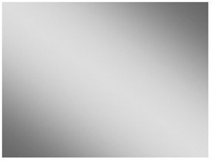 Royal Plaza Freya spiegel rechthoekig 40x110cm Spiegel (Zilver)