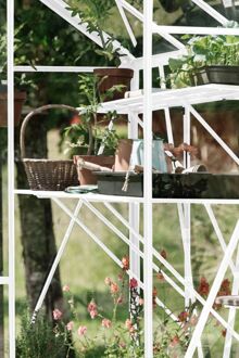 Royal Well Burford 86 Kweektafel Groen