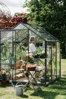 Royal Well Kate I Full Options - Tuinkas - Groen/grijs - Veiligheidsglas