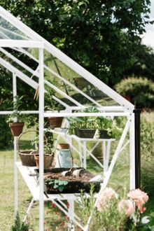 Royal Well Kate III - Kweekschap - Wit - 2,5x22,5x303 cm