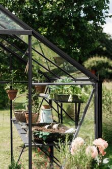 Royal Well Kate III - Kweekschap - Zwart - 2,5x22,5x303 cm