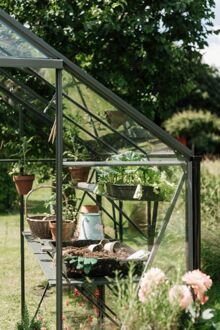 Royal Well Kate IV - Kweekschap - Groen/grijs - 2,5x22,5x364 cm